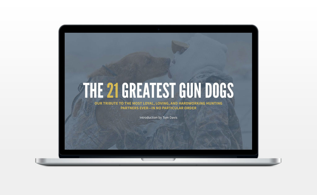 The 21 greatest gun dogs – Julio Ballesteros