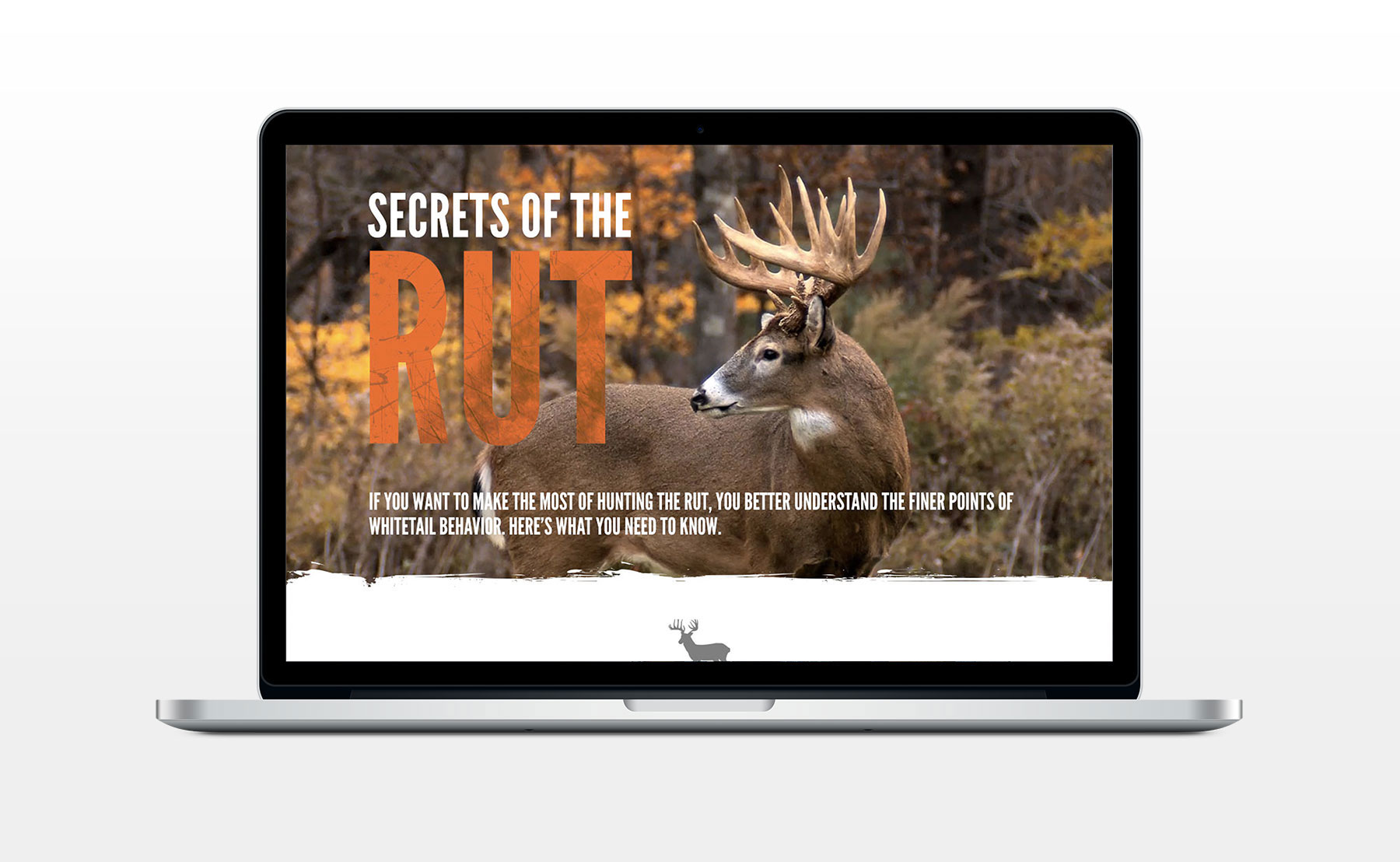Outdoor Life - Secrets of the Rut